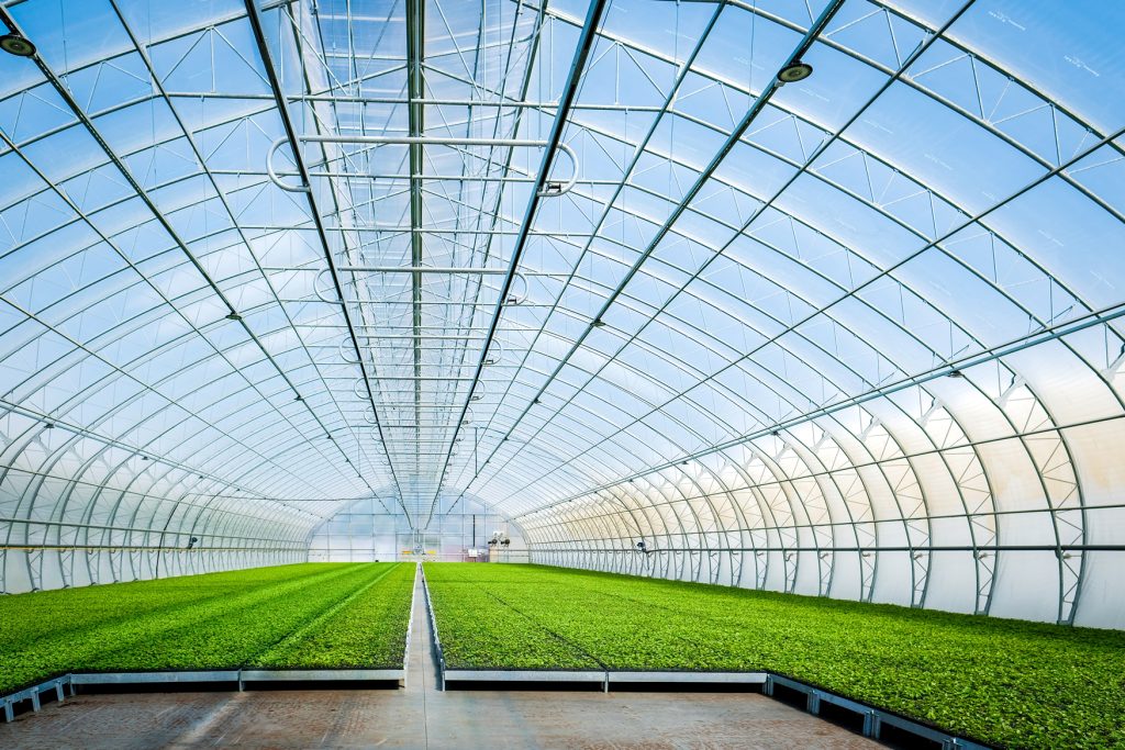 Climatizacion en invernaderos en invierno con aerotermia